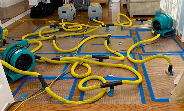 Professional Sewage Cleanup technician working in Matthews, NC